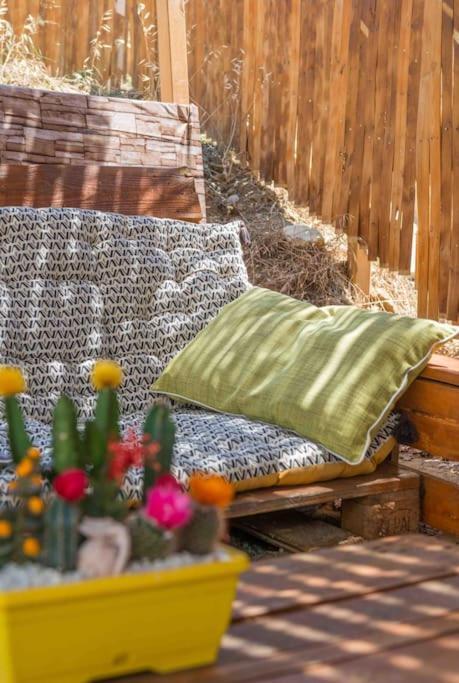 Aux Studio Sous Les Oliviers * Contes (Alpes-Maritimes)